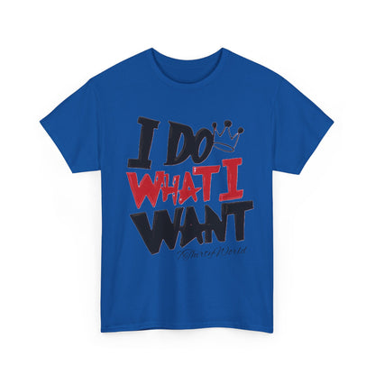 💥 I Do What I Want T-Shirt 💥