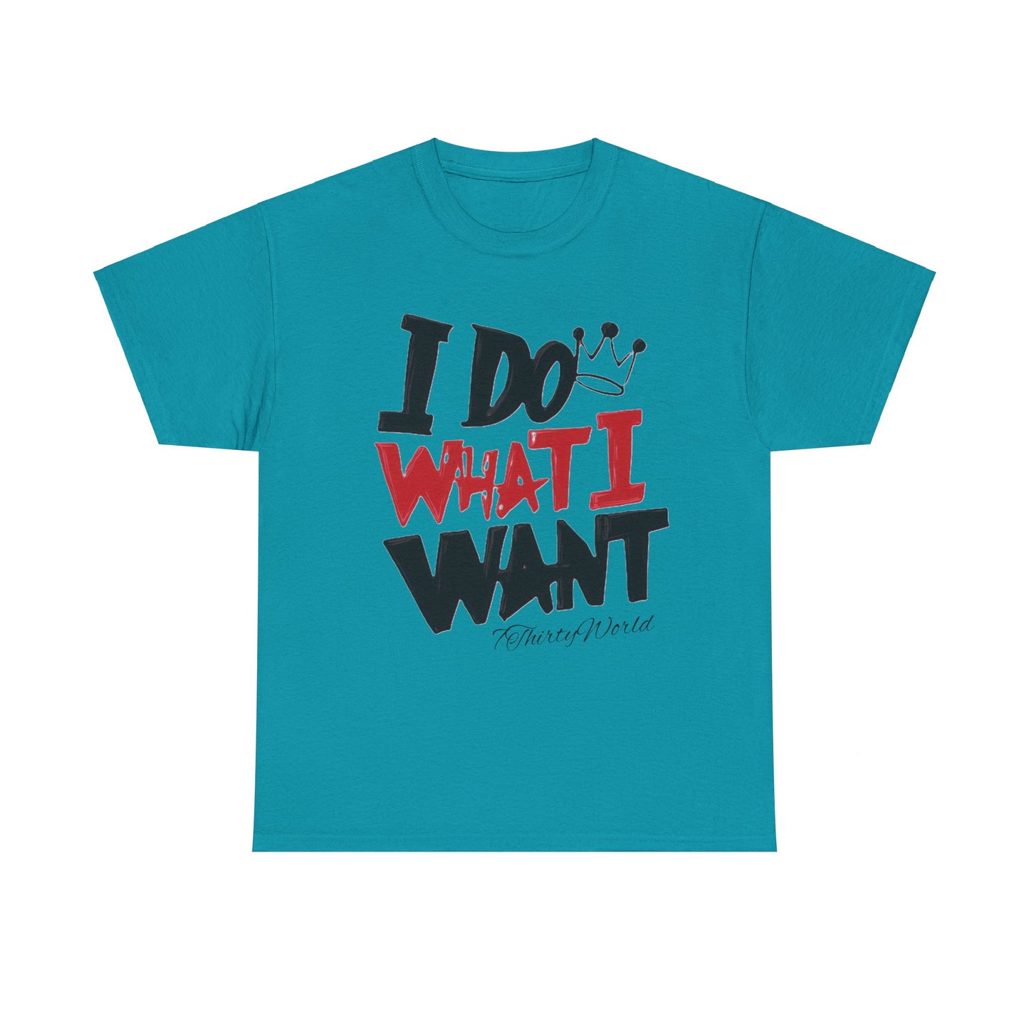 💥 I Do What I Want T-Shirt 💥