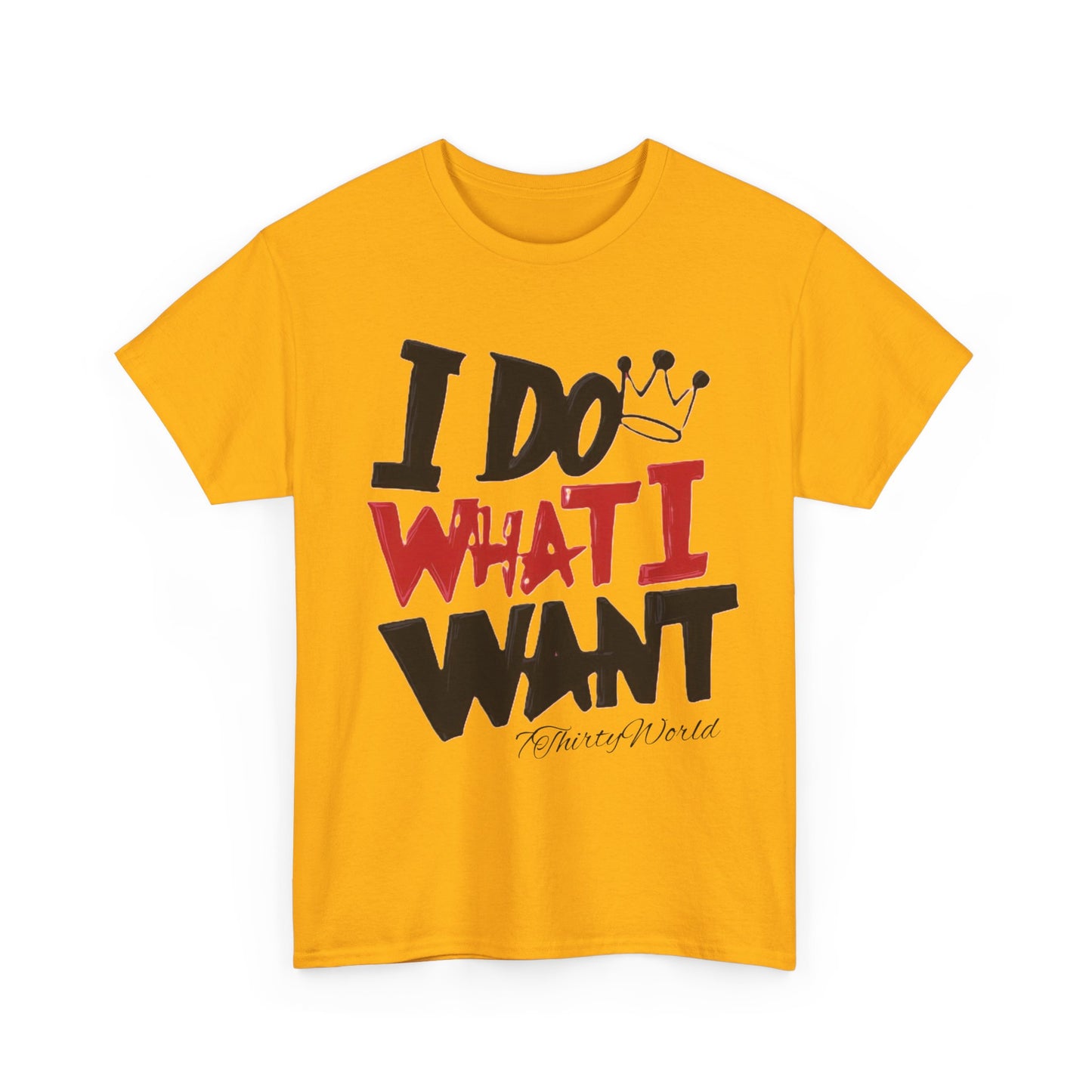 💥 I Do What I Want T-Shirt 💥