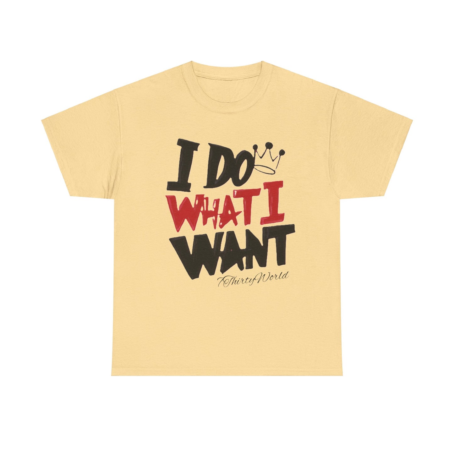 💥 I Do What I Want T-Shirt 💥