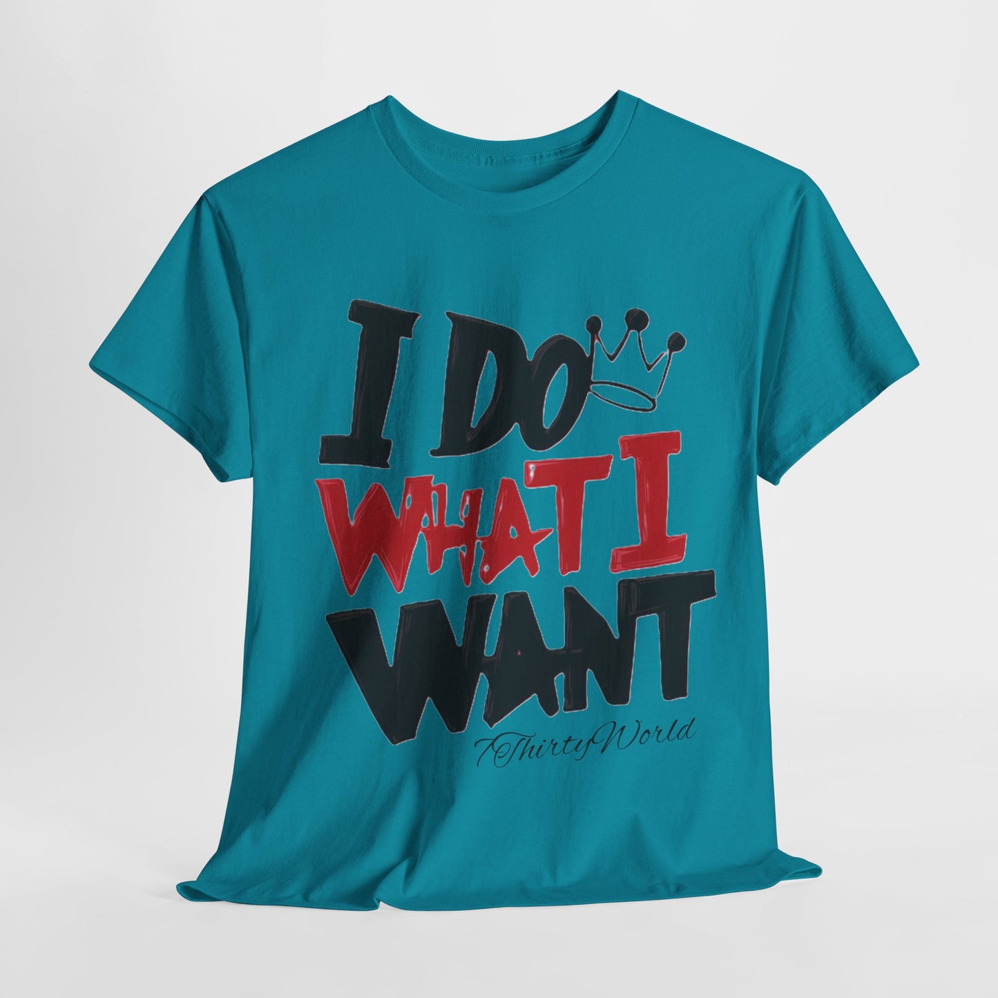 💥 I Do What I Want T-Shirt 💥