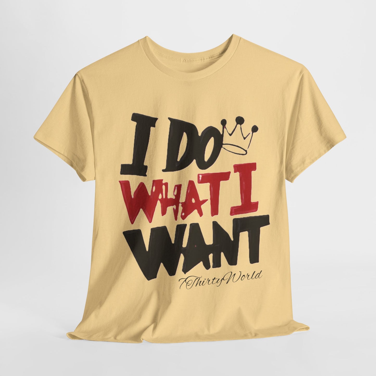 💥 I Do What I Want T-Shirt 💥