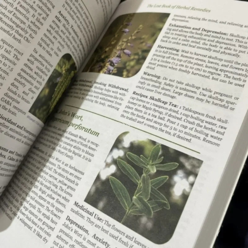 The Lost Book of Herbal Remedies: The Healing Power of Plant Medicine